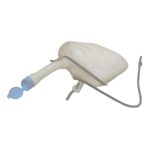 Reservatório De Água Do Parabrisa Fiat Argo Ano 2018 Orig