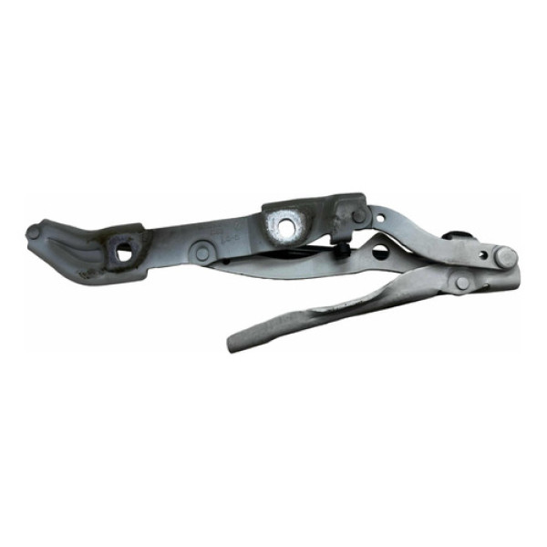 Dobradiça Porta Malas 320i 2010 Par