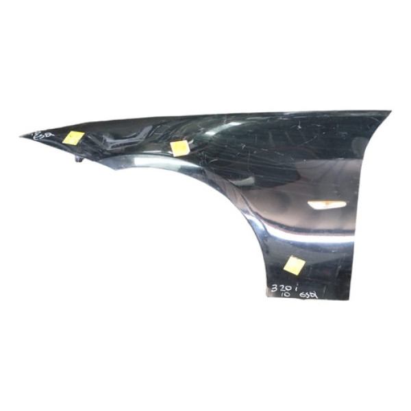 Paralama Esquerdo 320i 2010