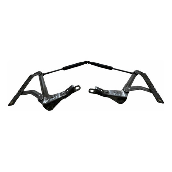 Dobradiça Tampa Ka Sedan 2015 Par